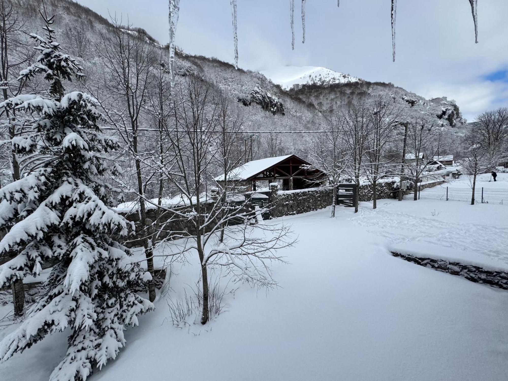Vikendice Biocinovici Villa Kolasin Exterior photo